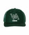 Wilson Sports Hat