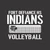 Fort Volleyball Net