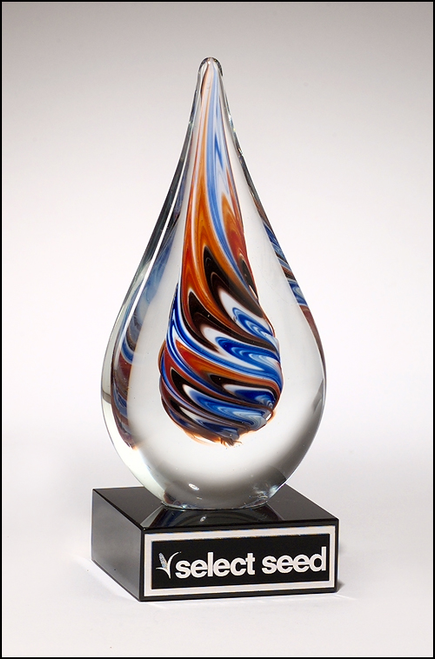 Art Glass Teardrop Award