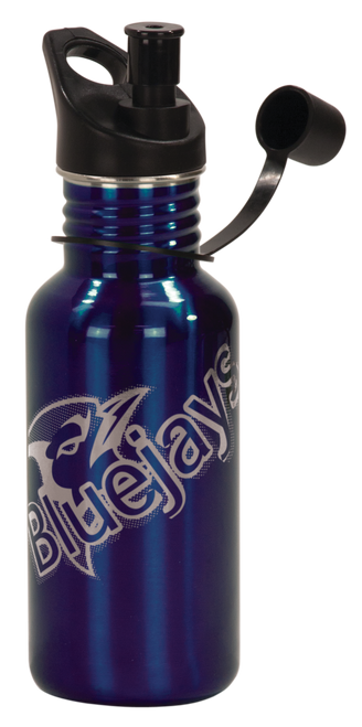 Gloss Blue Stainless Steel Water Bottle