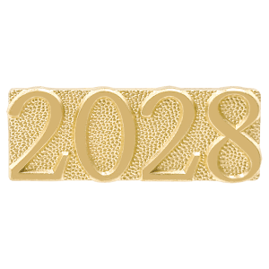 Year Chenille Pin (2028)