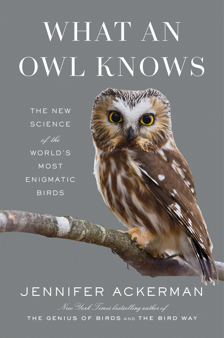 Most　of　Audubon　The　Mass　Science　Owl　Birds　Knows:　Enigmatic　World's　New　the　an　What　Shop