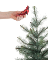 Cardinal Glass Clip-on Ornament