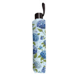 Compact Umbrella Hydrangea