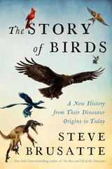 The Story of Birds