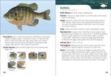 Freshwater Fish of North America Field Guide
