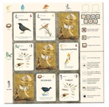 The Game of Birds