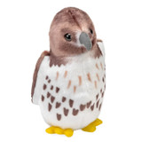 Red Tailed Hawk with Sound