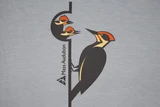 Mass Audubon Woodpeckers - XX - BL