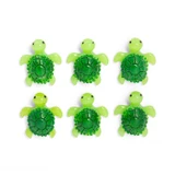 Baby Turtle Magnet Set
