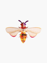 DIY Wall Art: Bee