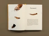 The Book of Birds: A Field Guide to Wonder and Loss