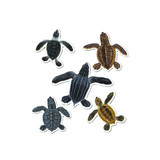 Sticker Set: Sea Turtle Hatchlings