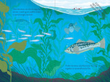 Over and Under the Waves