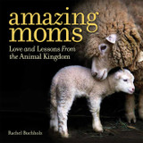 amazing moms: Love and Lessons from the Animal Kingdom