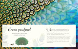 Anthology of Exquisite Birds