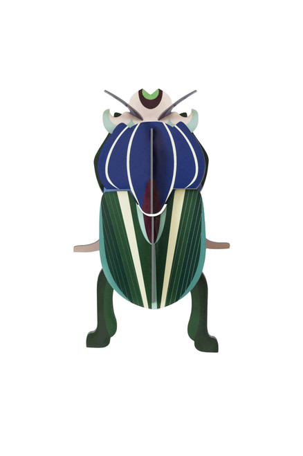 Mimela Scarab Beetle Wall Art