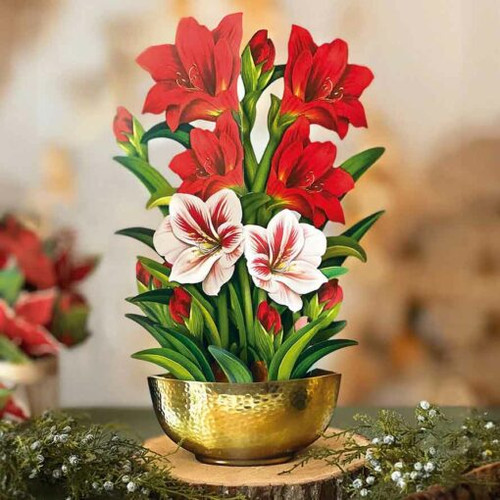 Pop-Up Amaryllis Bouquet with Mailer