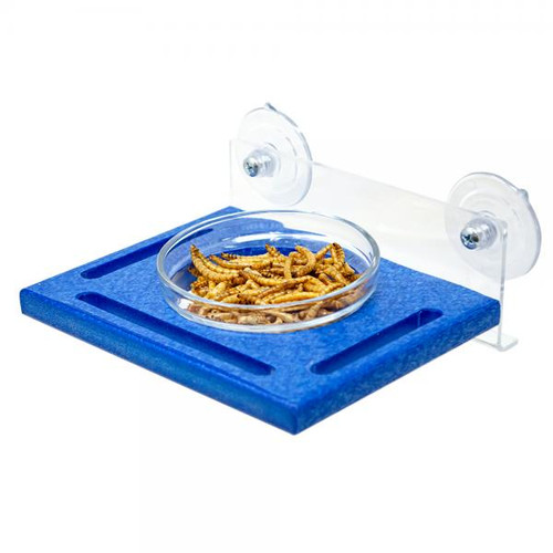 Window Bluebird Feeder