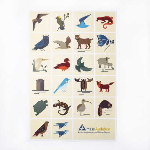 Mass Audubon Icons Poster 
