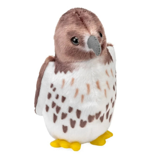 Red Tailed Hawk with Sound