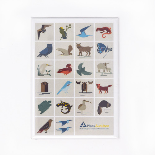 Mass Audubon Sanctuary Icons Magnet