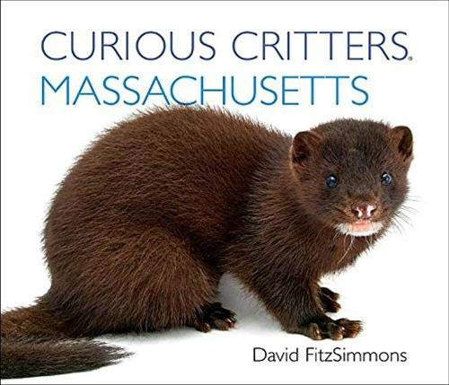 Curious Critters Massachusetts Board Book