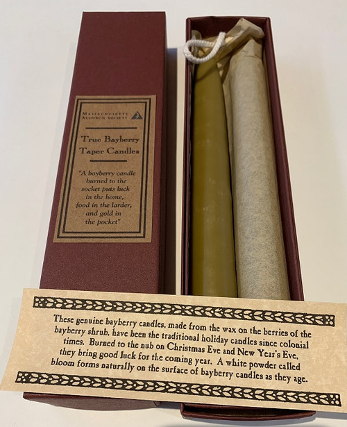 True Bayberry Taper Candle Set of 2