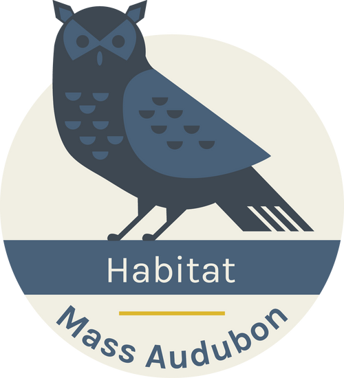 Habitat Great Horned Owl Pin