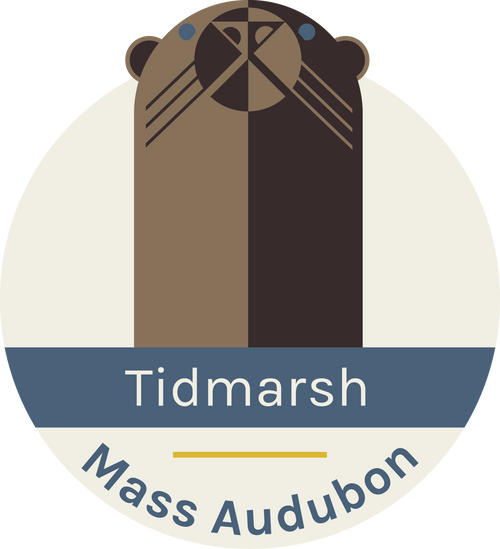 Tidmarsh North American Otter Pin