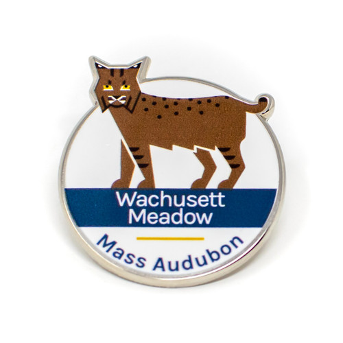 Wachusett Meadow Pin