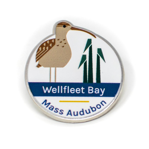 Wellfleet Bay Pin
