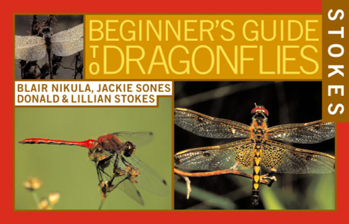 Stokes Beginner's Guide to Dragonflies