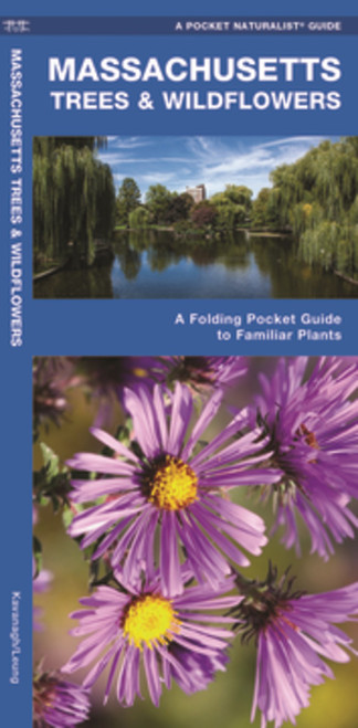 Massachusetts Trees & Wildflowers Laminated Folding Guide