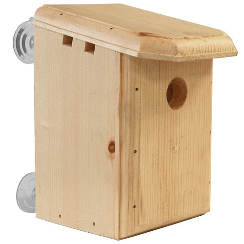Window Nest Box DIY Kit