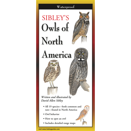 Sibley's Owls of North America Laminated Field Guide