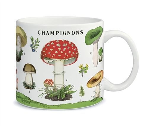 Mug in Box with Vintage Mushroom Illustrations