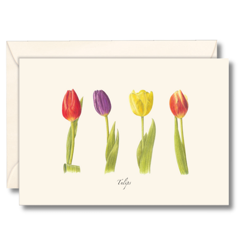 Tulips Notecards
