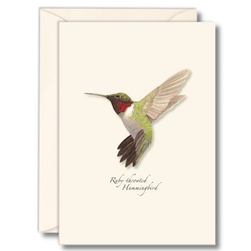 Hummingbird Notecard Set