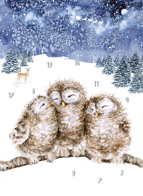 Three Little Owls Advent Calendar