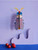 DIY Wall Art Set: Striped Wing Beetle