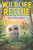 Wildlife Rescue: How to Save an Owl