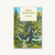 Tree Hugging: Seek Wisdom in the Forest