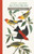 John James Audubon Birder's Journal & Checklist