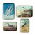 Metal Tray SM - Vintage Yellowlegs