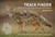 Track Finder Third Edition