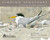 Finding Sanctuary: An Artisit Explores the Nature of Mass Audubon
