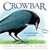Crowbar: The Smartest Bird in the World