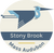Stony Brook Great Blue Heron Pin