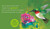 Birding For Babies: A Colors Book Migrating Birds